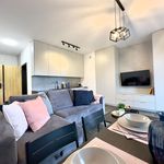 Rent 1 bedroom apartment of 34 m² in Katowice