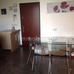 Rent 1 bedroom apartment of 40 m² in Abbiategrasso
