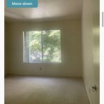 Rent 2 bedroom apartment in Mission Viejo