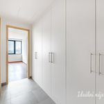 Rent 1 bedroom apartment of 39 m² in Praha