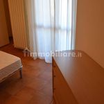 Rent 2 bedroom apartment of 55 m² in Fabriano