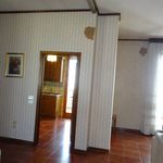 Rent 3 bedroom apartment of 167 m² in Arezzo
