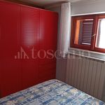 Rent 3 bedroom house of 35 m² in Frosinone