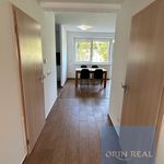 Rent 1 bedroom apartment of 590 m² in Zruč-Senec