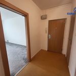 Rent 3 bedroom apartment of 67 m² in Beroun