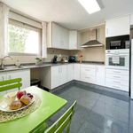 Rent 4 bedroom apartment in Benferri