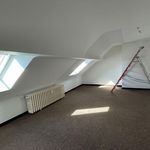 Rent 1 bedroom apartment in Molsheim