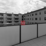 Rent 2 bedroom apartment of 50 m² in Novi Zagreb-istok