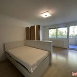 Rent 1 bedroom apartment of 42 m² in Wien
