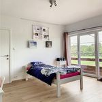 Rent 3 bedroom apartment in Assesse