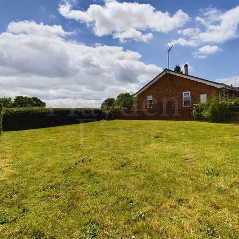 Semi-detached bungalow to rent in The Beeches, Mamble, Kidderminster DY14 Hoptonbank