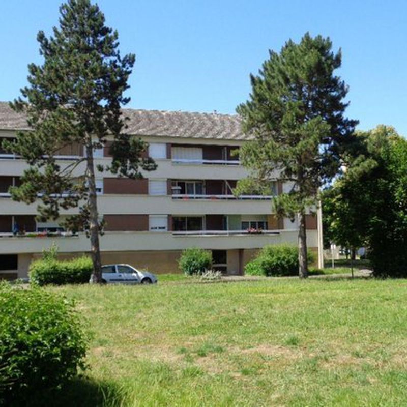 Location Appartement Mer 41500 Loir-et-Cher - 3 pièces  64 m2  à 514 euros
