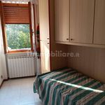 Rent 3 bedroom apartment of 65 m² in Rosignano Marittimo