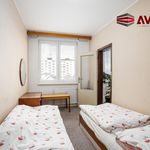 Rent 2 bedroom apartment of 43 m² in Opava