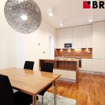 Rent 3 bedroom apartment of 94 m² in Brno