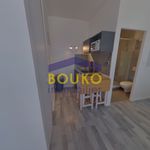 Rent 1 bedroom apartment of 20 m² in Saint-Nicolas-de-Port