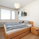 Rent 1 bedroom apartment of 72 m² in Prague