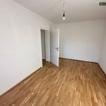 Rent 4 bedroom apartment of 104 m² in Knittelfeld