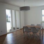 Rent 3 bedroom apartment of 66 m² in Szczecin