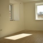 Rent 1 bedroom apartment of 80 m² in Renon