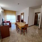 Affitto 2 camera appartamento di 48 m² in Pomezia