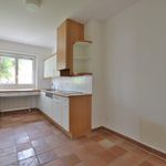 Rent 5 bedroom apartment in Ascona