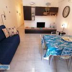 Rent 6 bedroom apartment of 100 m² in Alcamo