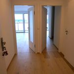 Rent 2 bedroom apartment of 61 m² in Vienna