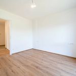 Rent 3 bedroom apartment of 75 m² in Auersthal