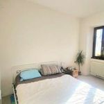 Rent 3 bedroom apartment of 88 m² in Trento