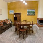 Rent 4 bedroom apartment of 85 m² in Lecce