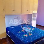 Rent 2 bedroom apartment of 40 m² in Velletri
