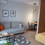 Rent 1 bedroom apartment of 35 m² in Lodz