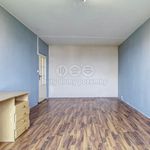 Rent 1 bedroom apartment of 41 m² in Plzeň