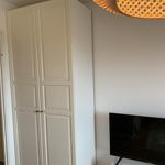 Rent 1 bedroom apartment of 25 m² in Nynäshamn