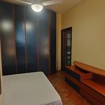 Affitto 1 camera appartamento di 45 m² in Monza