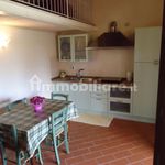 Rent 3 bedroom house of 70 m² in Rosignano Marittimo