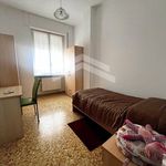 Affitto 4 camera appartamento di 100 m² in Campobasso
