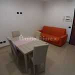 Rent 2 bedroom apartment of 35 m² in Pomezia