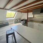 Rent 1 bedroom apartment of 22 m² in Lille