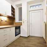 Rent 1 bedroom apartment in Mladá Boleslav