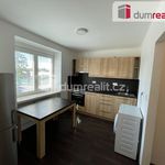 Rent 1 bedroom apartment of 29 m² in Dolni Benesov