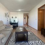 Alquilo 3 dormitorio apartamento de 80 m² en Alicante