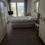 Rent 4 bedroom house in Winterthur