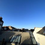 Rent 1 bedroom apartment of 25 m² in Nantes