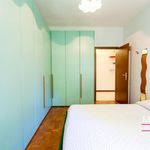 Rent 2 bedroom apartment of 80 m² in San Donato Milanese