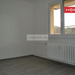 Rent 1 bedroom apartment of 24 m² in Vsetín