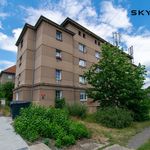 Rent 1 bedroom apartment in Děčín