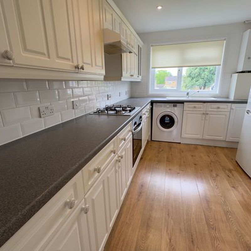 Terraced house to rent in Chopin Road, Basingstoke RG22 Brighton Hill