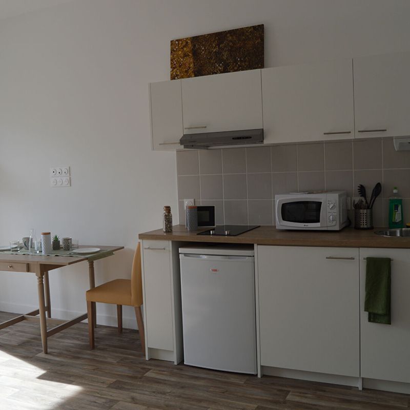 LOCATION d'un appartement  meublé 2 pièces (40 m²) à SAINT HILAIRE SAINT FLORENT Saumur